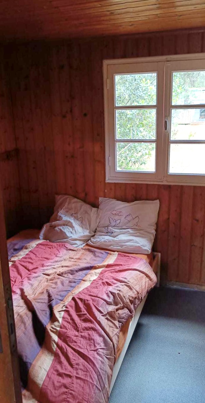 BENGA_CHAMBRE