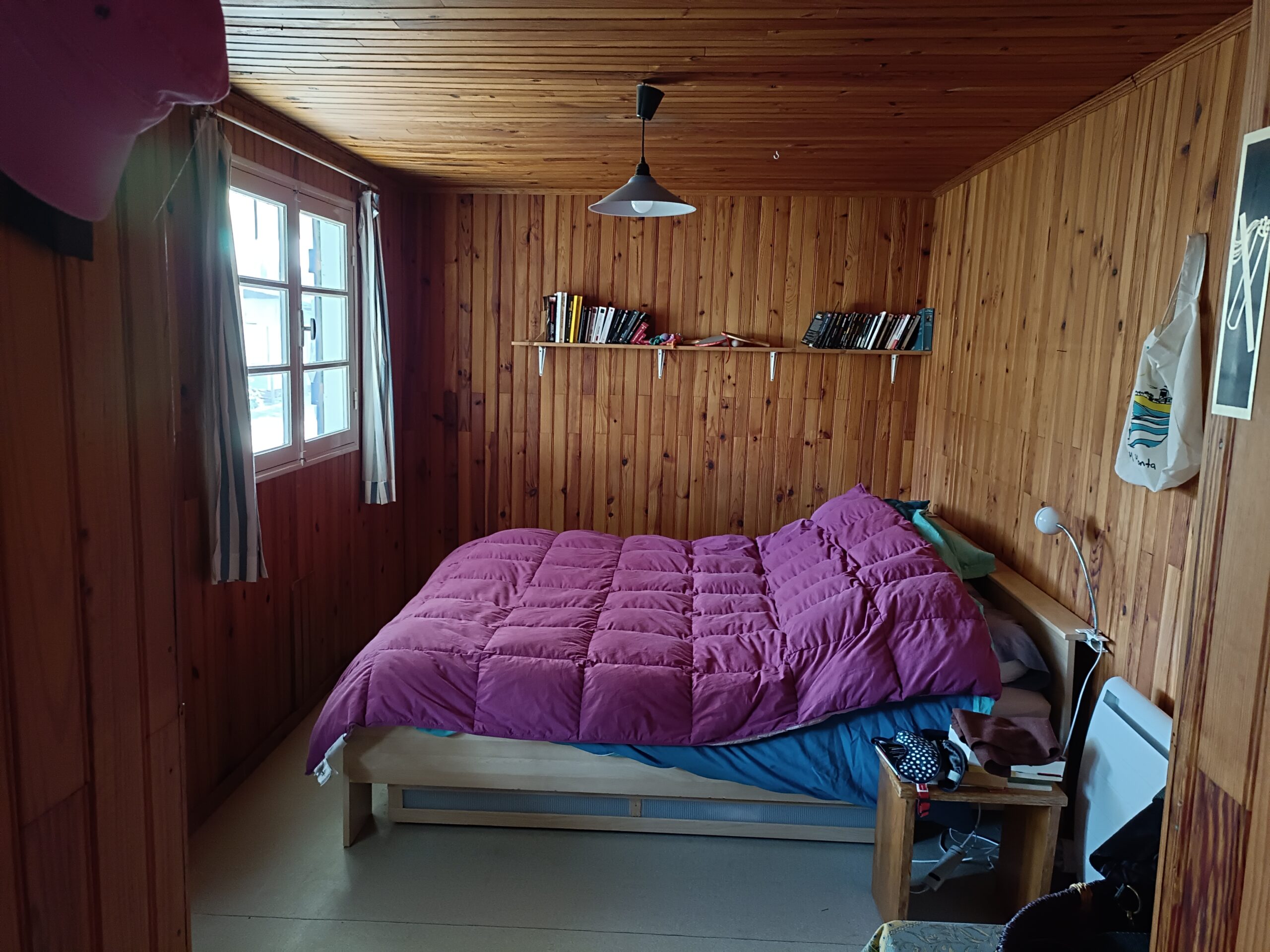 3IMG_20230216_131318