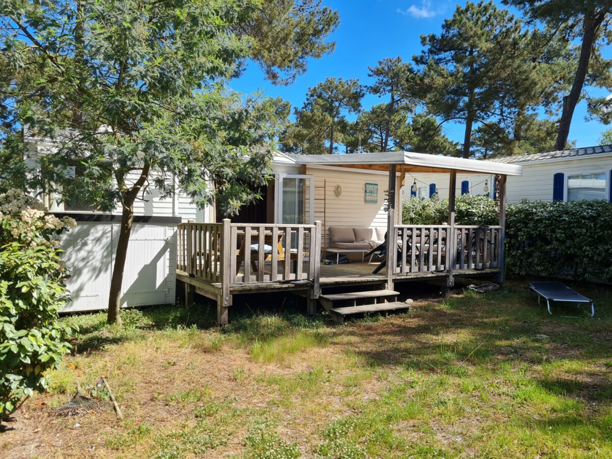 d5280ab3-d546-4fe2-a900-612bd8411363