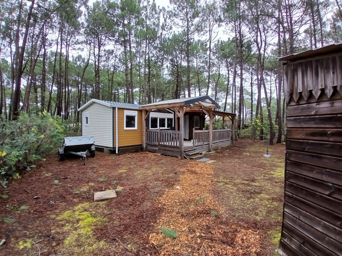 229ec127-1e8d-4bf5-a9d6-e026cd32a117