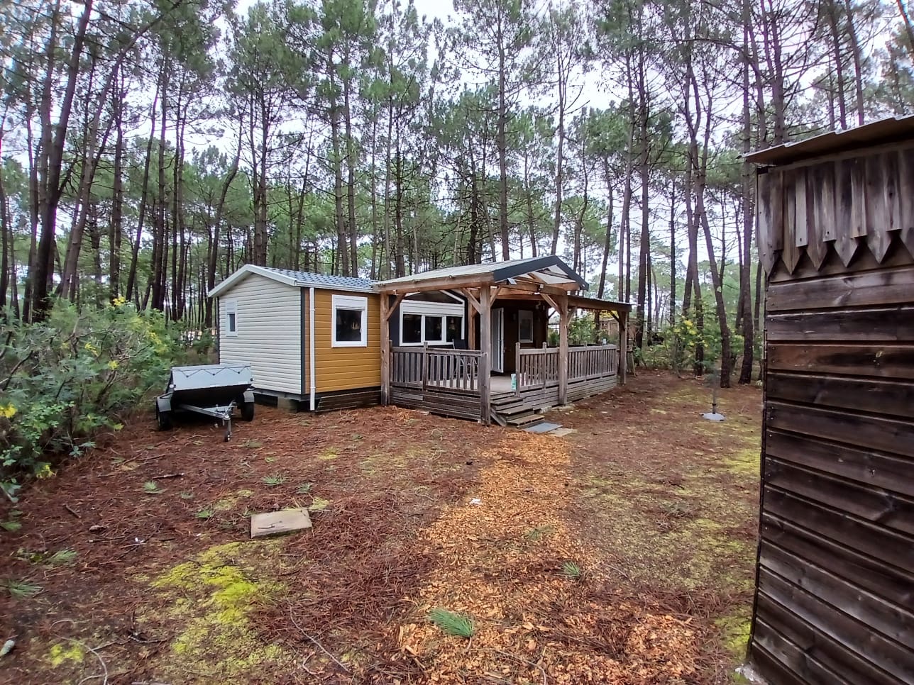 229ec127-1e8d-4bf5-a9d6-e026cd32a117