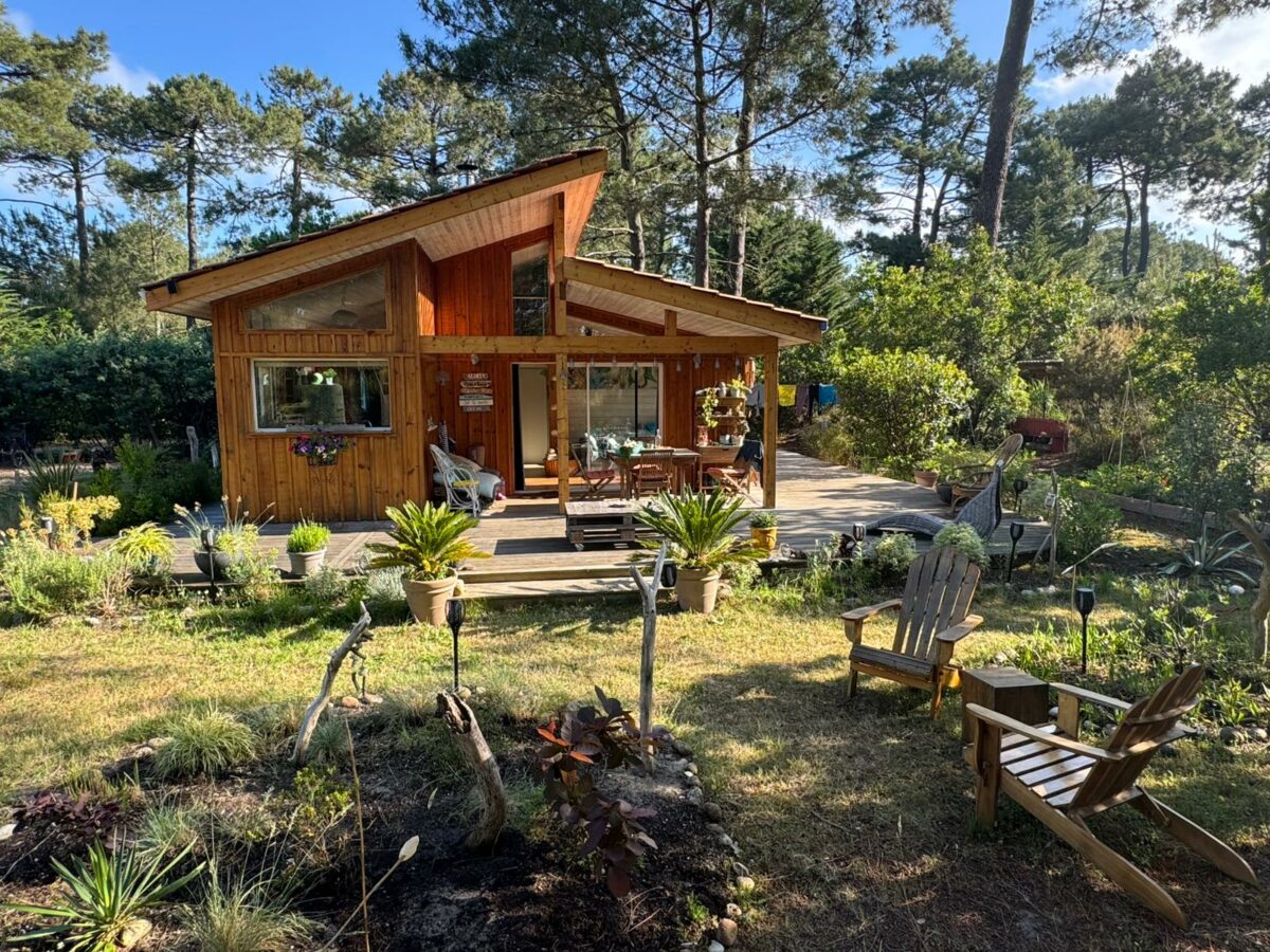 c6435451-fc68-45e5-b719-ba77bc2f83b7